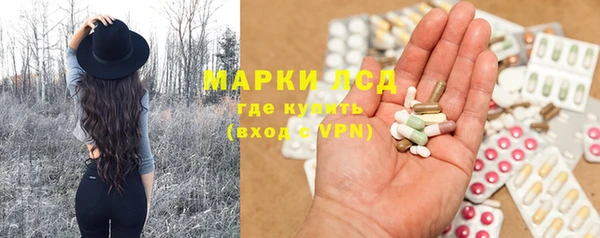 гидра Алексеевка