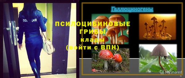 первитин Армянск